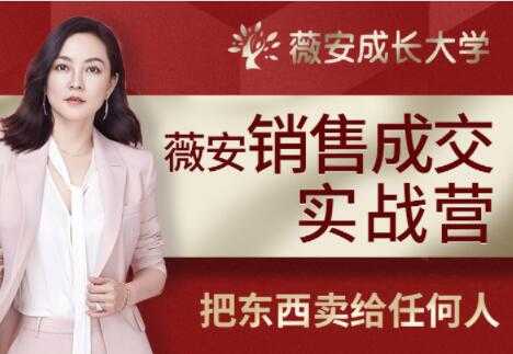 【销售技巧】薇安28天销售高手训练营培训课程视频-创业网 - 最新网络创业项目与实战营销教程平台 | cye.cc