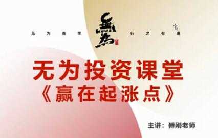 无为傅刚《赢在起涨点》寻底涨停战法视频讲座-创业网 - 最新网络创业项目与实战营销教程平台 | cye.cc