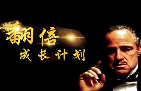 游资教父-炒股技巧《翻倍成长计划》实战股票讲座视频教程-创业网 - 最新网络创业项目与实战营销教程平台 | cye.cc