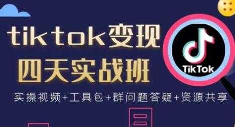 tiktok变现四天实战班视频：连怼技术+矩阵玩法赚,单账号月入2000美金-创业网 - 最新网络创业项目与实战营销教程平台 | cye.cc