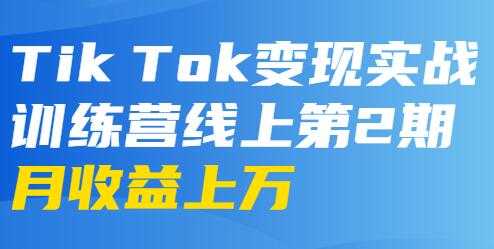 龟课-TikTok变现实战训练营 第2-4期 月收益上万不成问题-创业网 - 最新网络创业项目与实战营销教程平台 | cye.cc