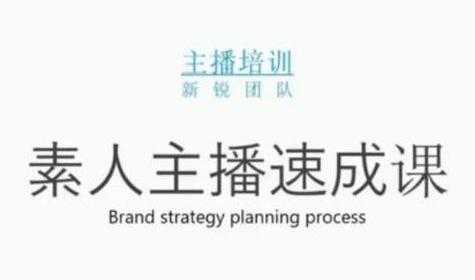 雨婷团队《素人主播培训速成课程》月销千万的直播间脚本手把手教学落地-创业网 - 最新网络创业项目与实战营销教程平台 | cye.cc