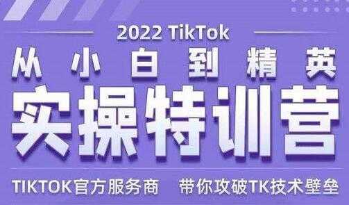 Seven漆《Tiktok从小白到精英实操特训营》带你掌握Tiktok账号运营-创业网 - 最新网络创业项目与实战营销教程平台 | cye.cc