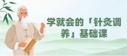 一学就会的《针灸调养》基础视频教学-创业网 - 最新网络创业项目与实战营销教程平台 | cye.cc
