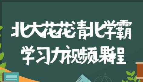 北大花花《清北学霸360°学习力》家庭养育指南，全方位解决学习和成长问题-创业网 - 最新网络创业项目与实战营销教程平台 | cye.cc