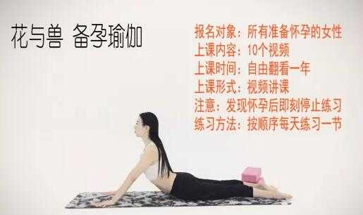 花与兽瑜伽课程《备孕瑜伽》教程视频-创业网 - 最新网络创业项目与实战营销教程平台 | cye.cc