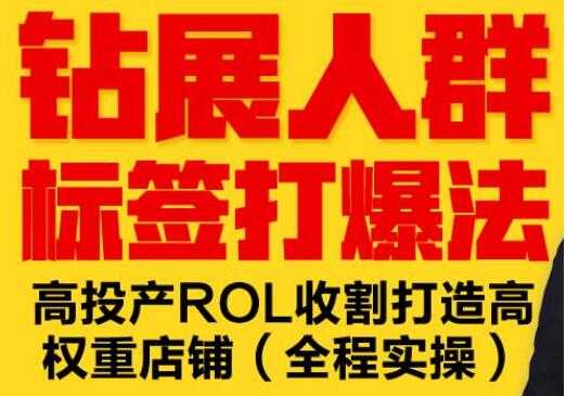 逐鹿《淘宝钻展人群标签打爆法》高投产ROL收割打造高权重店铺(全程实操)-创业网 - 最新网络创业项目与实战营销教程平台 | cye.cc