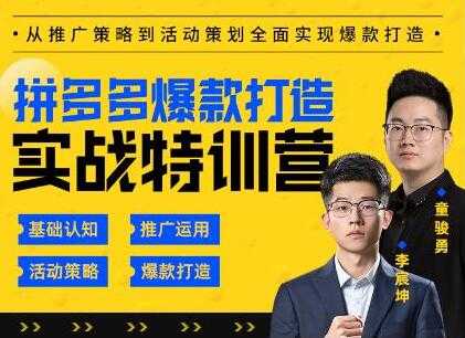 玺承云《拼多多爆款打造实战特训营》一套从入门到高手课程-创业网 - 最新网络创业项目与实战营销教程平台 | cye.cc