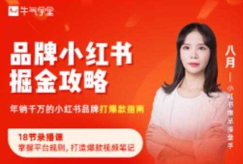 《品牌小红书掘金攻略》年销千万的小红书品牌打爆款指南-创业网 - 最新网络创业项目与实战营销教程平台 | cye.cc