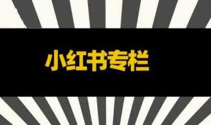 品牌医生《小红书全链营销干货》5个起盘案例，营销策略规划，避坑指南-创业网 - 最新网络创业项目与实战营销教程平台 | cye.cc