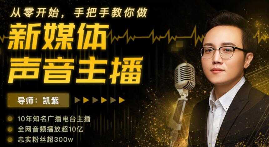 靠声音赚钱，手把手教你做，新媒体声音主播，0成本变现-创业网 - 最新网络创业项目与实战营销教程平台 | cye.cc