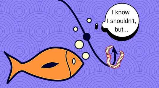 豆瓣引流卖粉项目，每天引流100多粉丝，直接变现800多块钱（价值1200元）-创业网 - 最新网络创业项目与实战营销教程平台 | cye.cc