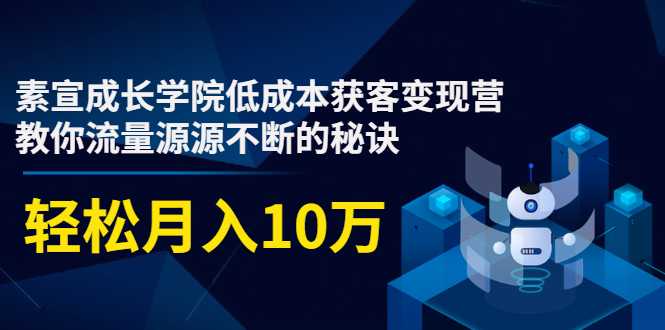 素宣成长学院低成本获客变现营，教你流量源源不断的秘诀，轻松月入10万-创业网 - 最新网络创业项目与实战营销教程平台 | cye.cc