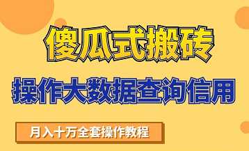 搬砖操作大数据查询信用项目赚钱教程，祝你快速月入6万-创业网 - 最新网络创业项目与实战营销教程平台 | cye.cc