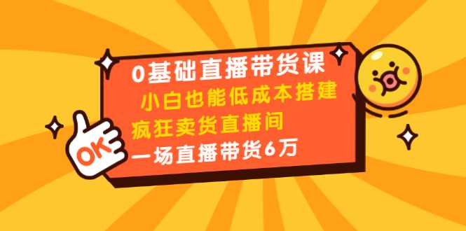 0基础直播带货课：小白也能低成本搭建疯狂卖货直播间：1场直播带货6万-创业网 - 最新网络创业项目与实战营销教程平台 | cye.cc