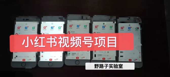 野路子小红书视频号1.0项目，直接上手操作就能赚钱的视频号项目-创业网 - 最新网络创业项目与实战营销教程平台 | cye.cc
