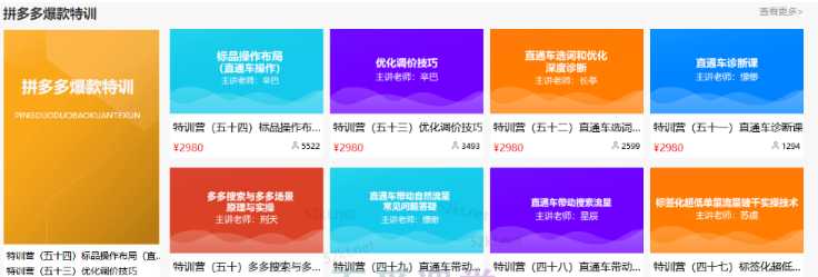 多多大师VIP拼多多运营培训课程价值2980元-创业网 - 最新网络创业项目与实战营销教程平台 | cye.cc