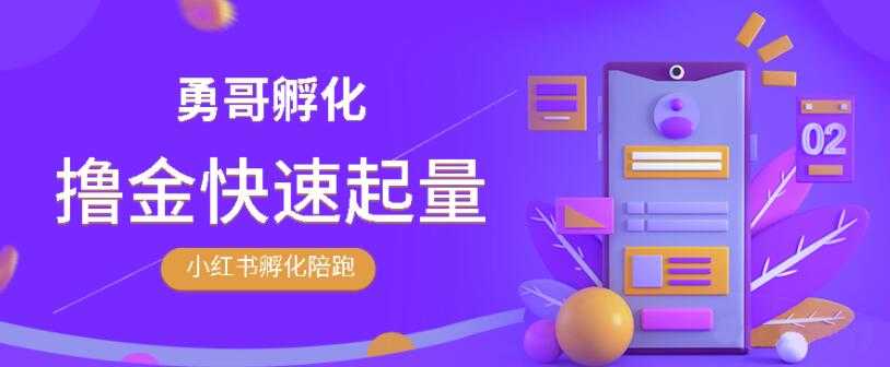 勇哥·小红书撸金快速起量陪跑孵化营，教你在小红书平台实现副业的睡后收入-创业网 - 最新网络创业项目与实战营销教程平台 | cye.cc