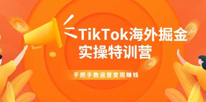 TikTok海外掘金实操特训营：手把手教运营变现赚钱-创业网 - 最新网络创业项目与实战营销教程平台 | cye.cc