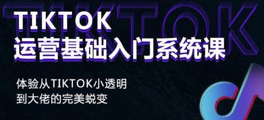 Tiktok实操进阶课程，体验从tiktok小透明到大佬的完美蜕变-创业网 - 最新网络创业项目与实战营销教程平台 | cye.cc