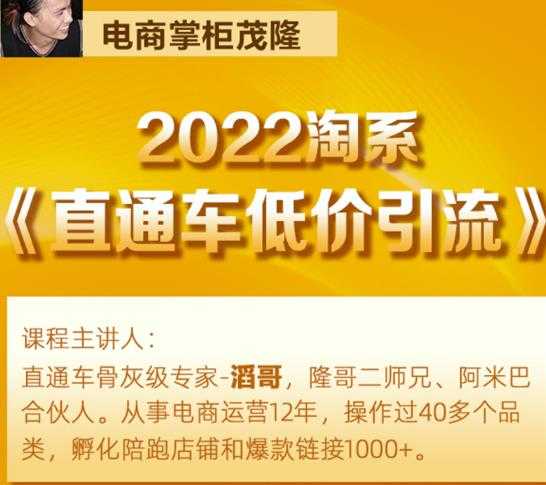茂隆2022直通车低价引流玩法，教大家如何低投入高回报的直通车玩法-创业网 - 最新网络创业项目与实战营销教程平台 | cye.cc