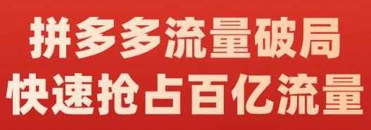 阿杰·拼多多流量破局:如何打黑标，爆款的思路，拼多多流量框架，快速抢占百亿流量-创业网 - 最新网络创业项目与实战营销教程平台 | cye.cc