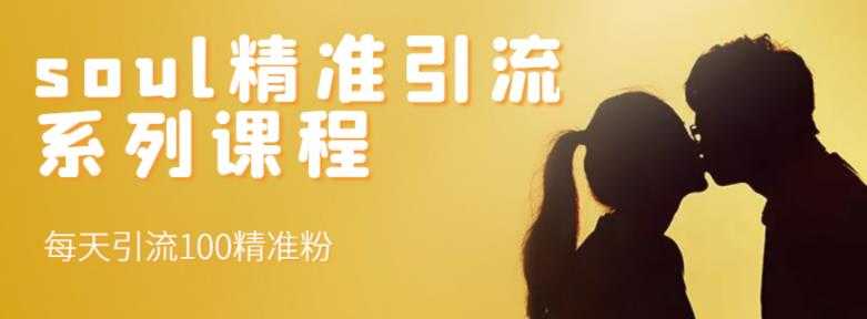 soul精准引流系列课程，每天引流100精准粉-创业网 - 最新网络创业项目与实战营销教程平台 | cye.cc