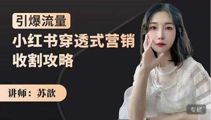 苏歆：小红书穿透式营销收割攻略，引爆流量，助你玩转小红书-创业网 - 最新网络创业项目与实战营销教程平台 | cye.cc