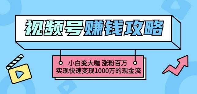玩转微信视频号赚钱：小白变大咖涨粉百万实现快速变现1000万的现金流-创业网 - 最新网络创业项目与实战营销教程平台 | cye.cc