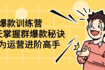 群爆款训练营：8天掌握群爆款秘诀，成为运营进阶高手-创业网 - 最新网络创业项目与实战营销教程平台 | cye.cc