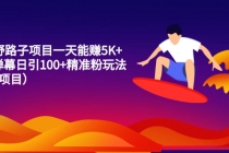 15个野路子项目一天能赚5K+直播弹幕日引100+精准粉玩法-创业网 - 最新网络创业项目与实战营销教程平台 | cye.cc