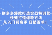 拼多多爆款打造实战特训营：快速打造爆款方法，从入门到高手 日破百单-创业网 - 最新网络创业项目与实战营销教程平台 | cye.cc