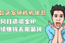 『爆款文案硬核孵化营』如何打造吸金IP，持续赚钱无限循环-创业网 - 最新网络创业项目与实战营销教程平台 | cye.cc