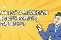 2022Tiktok从小白到精英实操，0-1保姆级实操全程无忧，多种变现赚钱方式-创业网 - 最新网络创业项目与实战营销教程平台 | cye.cc