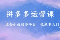 拼多多运营课，适合小白初涉平台，低成本入门 创造销量和利润的方法-创业网 - 最新网络创业项目与实战营销教程平台 | cye.cc