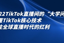 2022TikTok直播间的“大学问”掌握TikTok核心技术 抓住全球直播时代的红利-创业网 - 最新网络创业项目与实战营销教程平台 | cye.cc