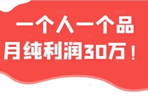 某公众号付费文章：一个人一个品月纯利润30万的蓝海电商经典案例！-创业网 - 最新网络创业项目与实战营销教程平台 | cye.cc
