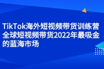 TikTok海外短视频带货训练营，全球短视频带货2022年最吸金的蓝海市场-创业网 - 最新网络创业项目与实战营销教程平台 | cye.cc