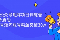 蓝海公众号矩阵项目训练营，0粉冷启动，公众号矩阵账号粉丝突破30w-创业网 - 最新网络创业项目与实战营销教程平台 | cye.cc