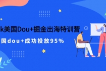 TikTok美国Dou+掘金出海特训营，美国dou+成功投放95%-创业网 - 最新网络创业项目与实战营销教程平台 | cye.cc
