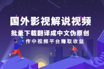 国外影视解说视频，批量下载翻译成中文伪原创，传中视频平台赚取收益-创业网 - 最新网络创业项目与实战营销教程平台 | cye.cc