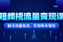 短频视流量变现课：解决流量焦虑，实现降本增效-创业网 - 最新网络创业项目与实战营销教程平台 | cye.cc