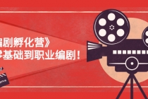 《编剧孵化营》从零基础到职业编剧！-创业网 - 最新网络创业项目与实战营销教程平台 | cye.cc