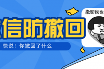 智微VX多开防撤回助手 一键免扫码登录-创业网 - 最新网络创业项目与实战营销教程平台 | cye.cc