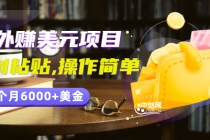 分享一个国外赚美元项目：复制粘贴一个月6000+美金，简单易操作-创业网 - 最新网络创业项目与实战营销教程平台 | cye.cc