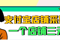 【信息差项目】支付宝店铺采集项目，只需拍三张照片，轻松日赚300-500-创业网 - 最新网络创业项目与实战营销教程平台 | cye.cc