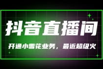 最近超火的抖音直播间开通小雪花业务-创业网 - 最新网络创业项目与实战营销教程平台 | cye.cc
