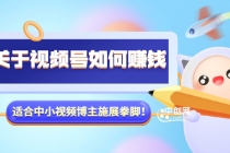 某公众号付费文章《关于视频号如何赚钱》适合中小视频博主施展拳脚！-创业网 - 最新网络创业项目与实战营销教程平台 | cye.cc
