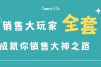 销售大玩家全套课程，人人都能是销冠，成就你营销大神之路-创业网 - 最新网络创业项目与实战营销教程平台 | cye.cc