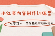 【小红书内容创作训练营】从零到一，带你轻松涨粉做博主-创业网 - 最新网络创业项目与实战营销教程平台 | cye.cc